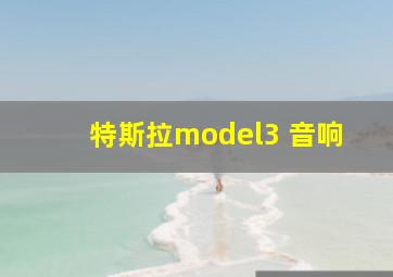 特斯拉model3 音响